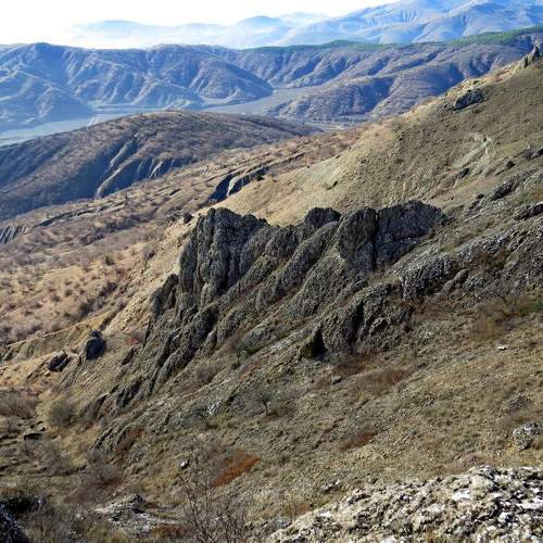Photo #10320771