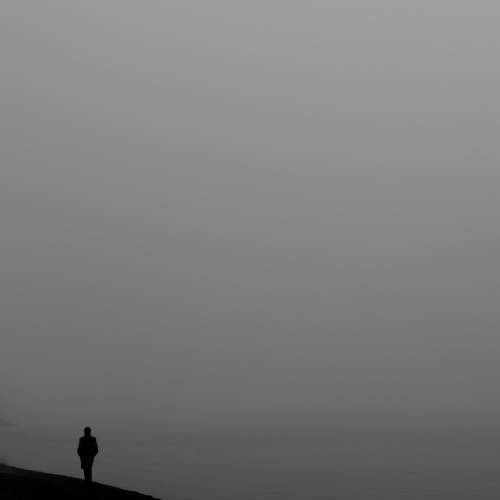 Photo #10320929
