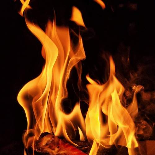 Photo #10321169