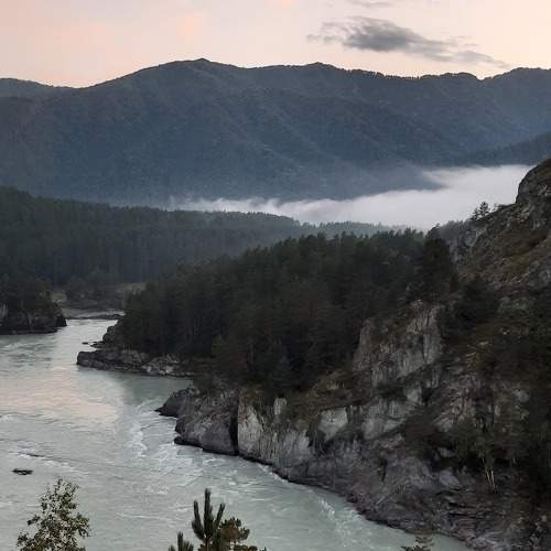 Photo #10321842