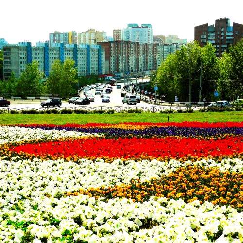 Панорама города в цветах. Мост средней дамбы