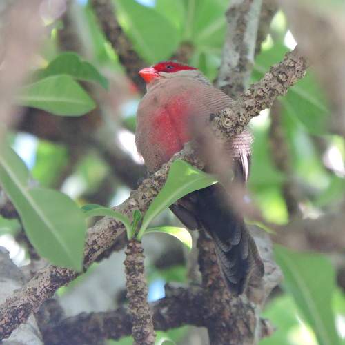 Photo #10322027