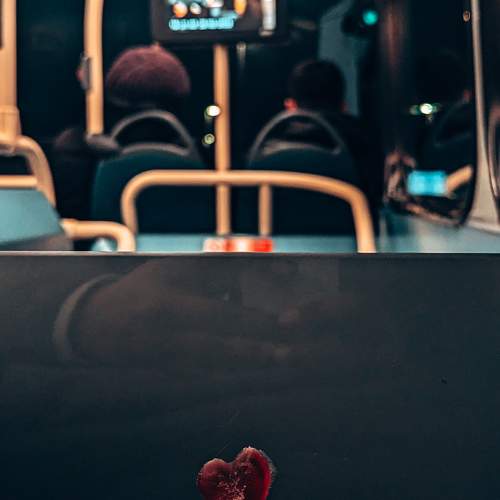 Photo #10322100
