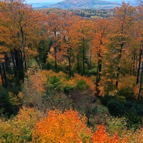 Photo #10322338