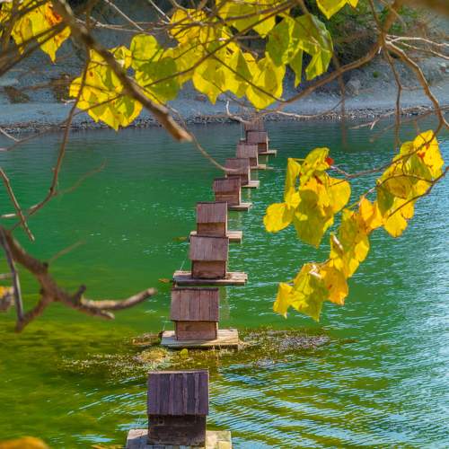 Photo #10322608