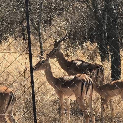 Photo #10322752