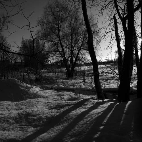 Photo #10322817