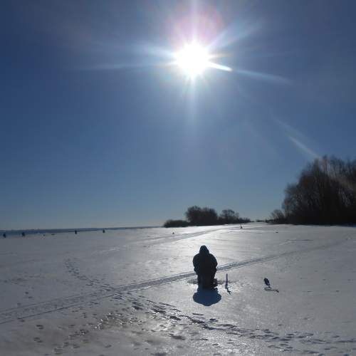 Photo #10323137