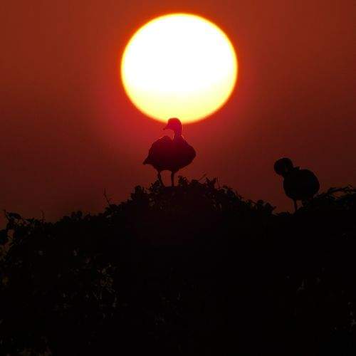 Photo #10323851