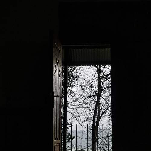 Photo #10324001