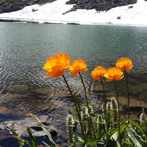 Photo #10324015
