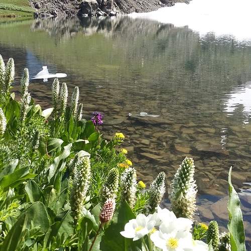 Photo #10324016