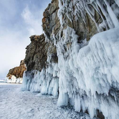 Photo #10324022