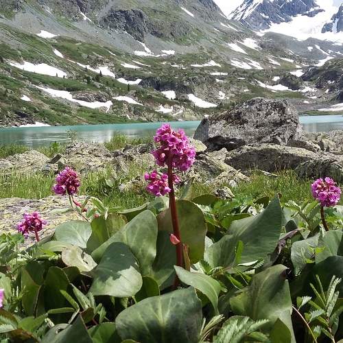 Photo #10324039