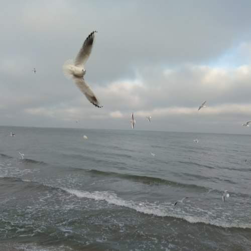 Photo #10324162