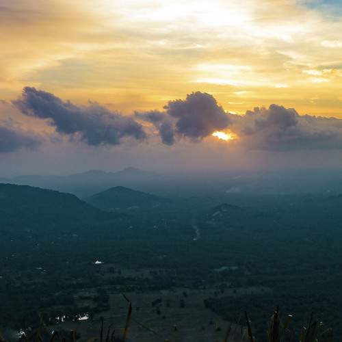 Photo #10324536