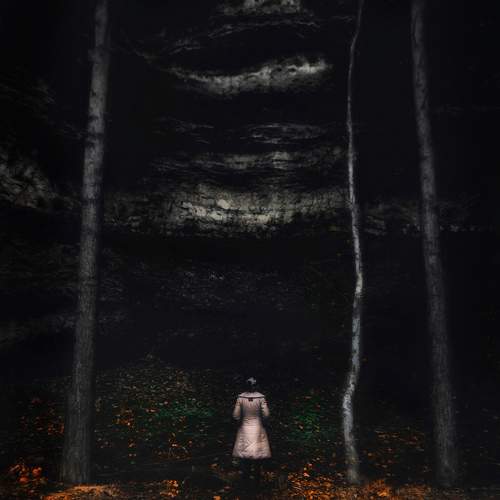 Photo #10324741