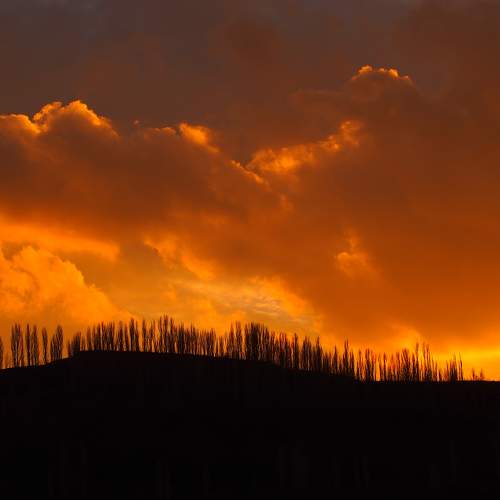 Photo #10324961