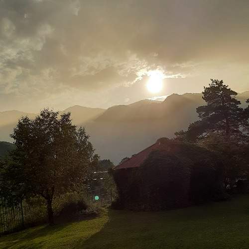 Photo #10325282