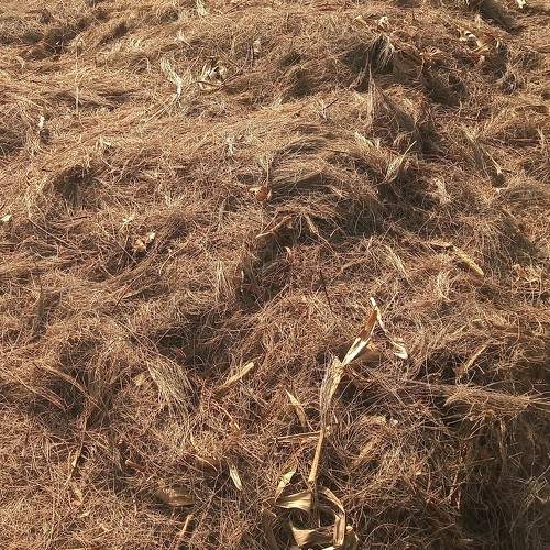 Photo #10325342