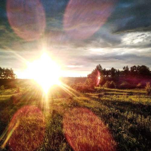 Photo #10326386