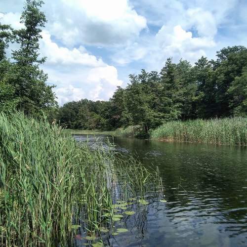 Photo #10326434