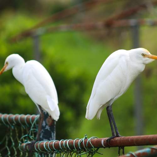 Photo #10326533