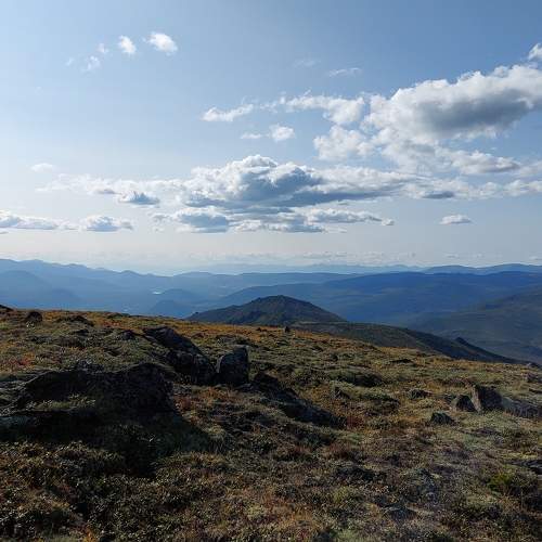 Photo #10326659