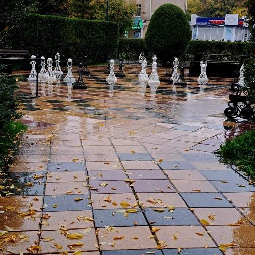 Photo #10326685
