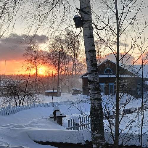 Photo #10326716