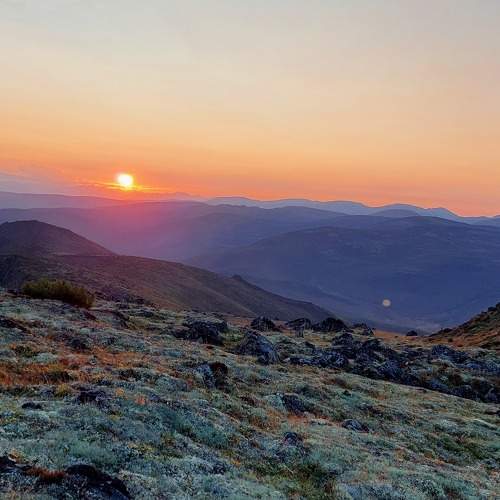 Photo #10326871