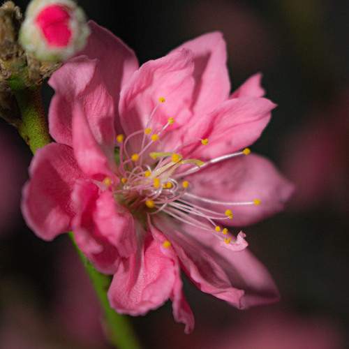 Photo #10327667