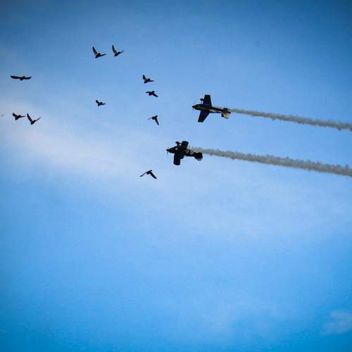 Photo #10328069