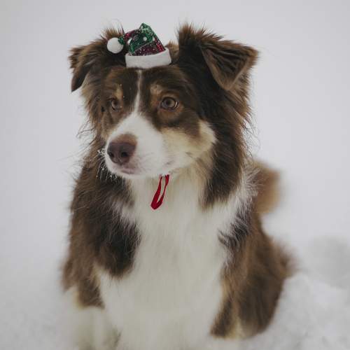 Photo #10328106