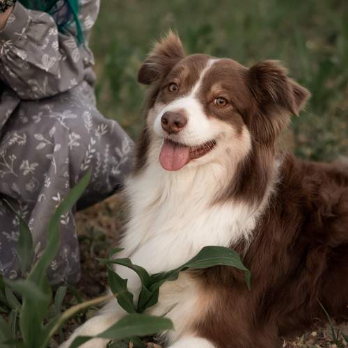 Photo #10328213