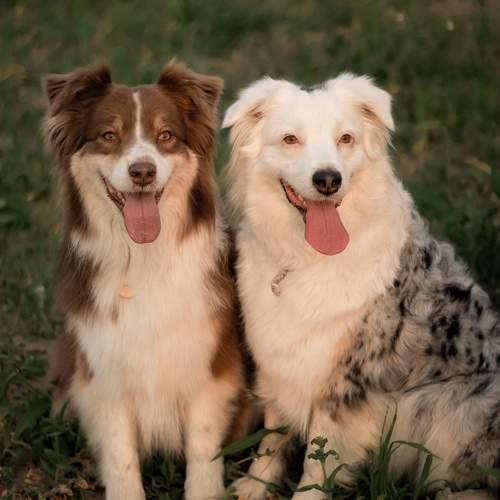 Photo #10328263
