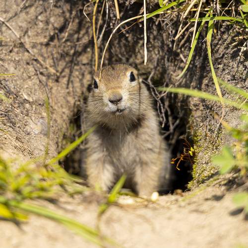 Photo #10328325