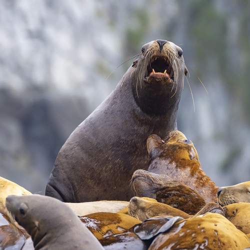Photo #10328451