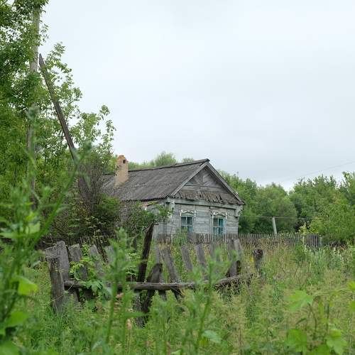 Photo #10328594