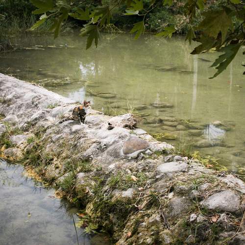 Photo #10328613