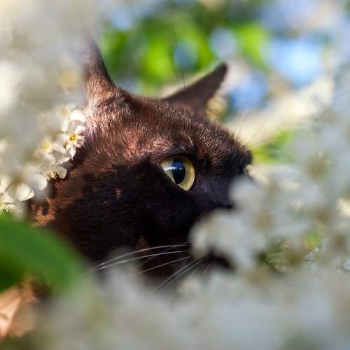 Photo #10328661