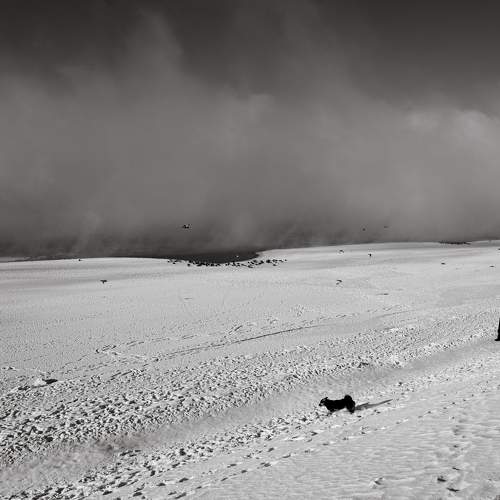 Photo #10329082