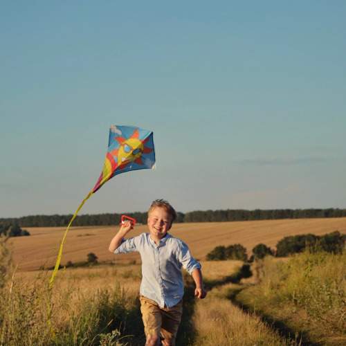 Photo #10329540
