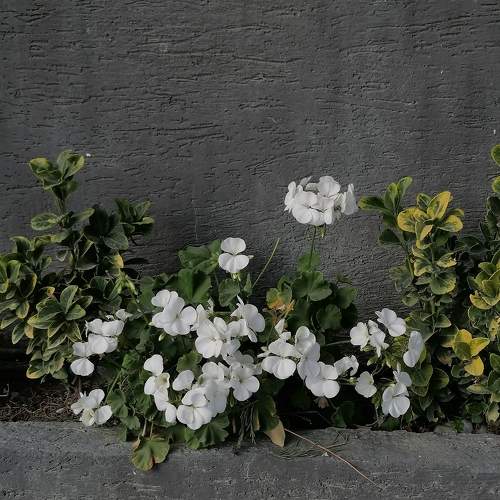 Photo #10329644