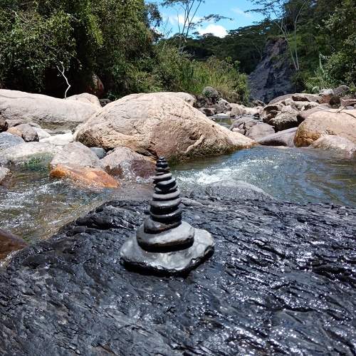 Photo #10329870