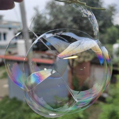 Photo #10330067