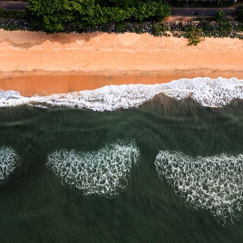 Photo #10330399