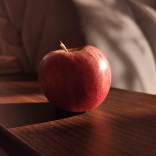 Photo #10330704