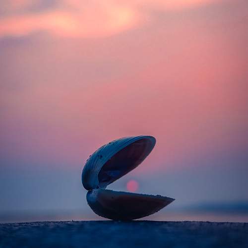 Photo #10330767