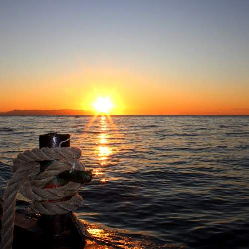Photo #10330818